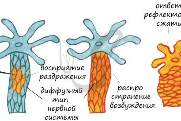 Kra10.cc