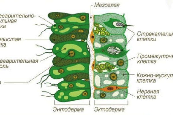 Кракен торговая площадка